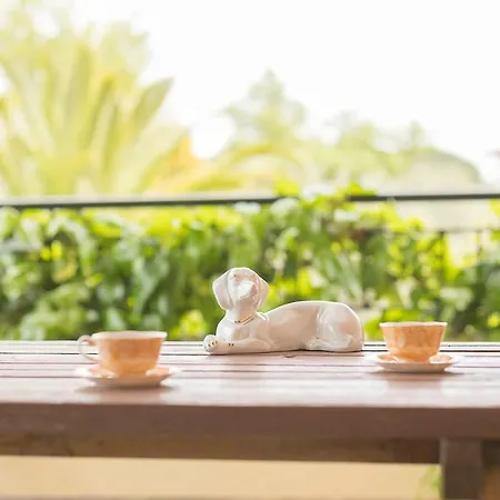 度假居 Sandy Feet Retreat, #feelslikehome 沃尔沃罗